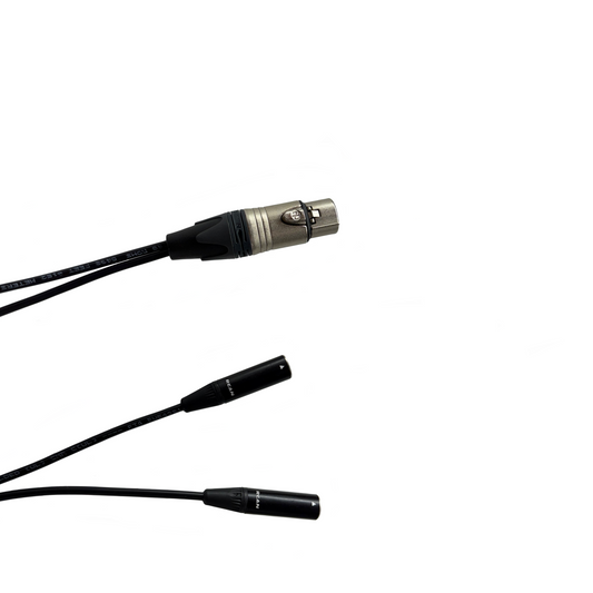 XLR 3 Pin Weiblich zu zwei männlichen Mini XLR 3 Pin Y-Kabel