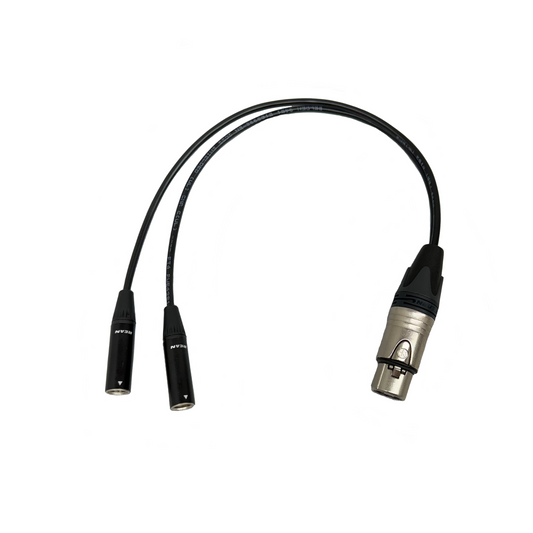 XLR 3 Pin Weiblich zu zwei männlichen Mini XLR 3 Pin Y-Kabel