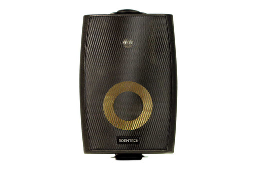 Roemtech SP-250 40 Watt 5,25' 2 Way Ported Design - Lautsprecherpaar